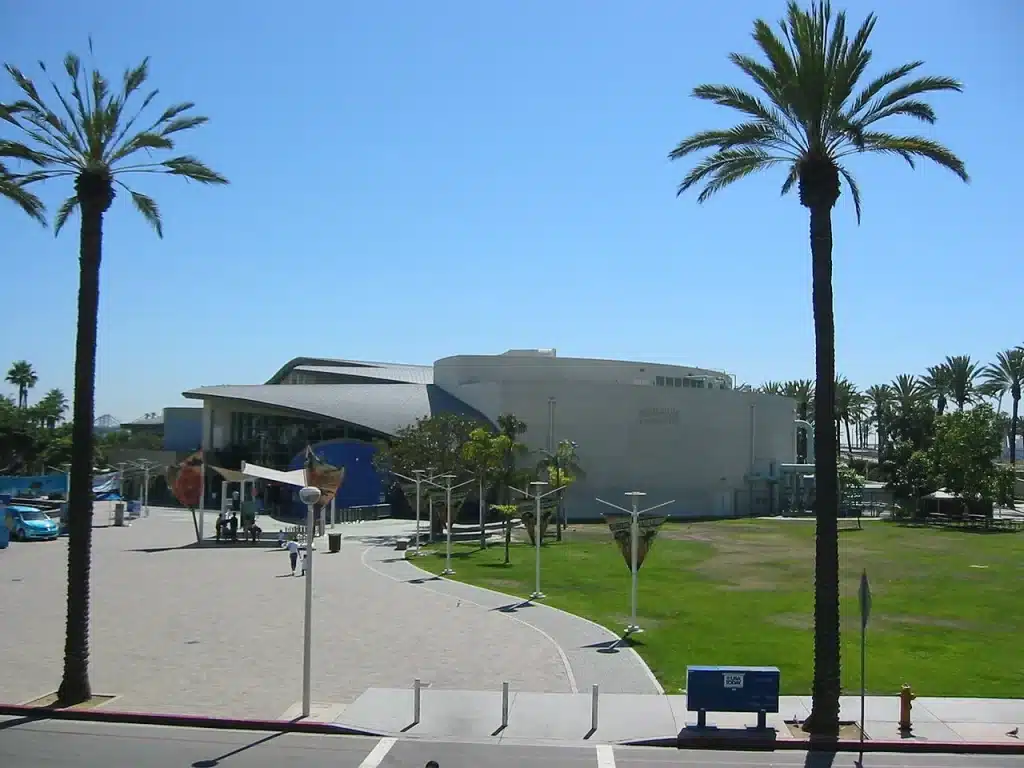 explore sea life at the aquarium of the Pacific