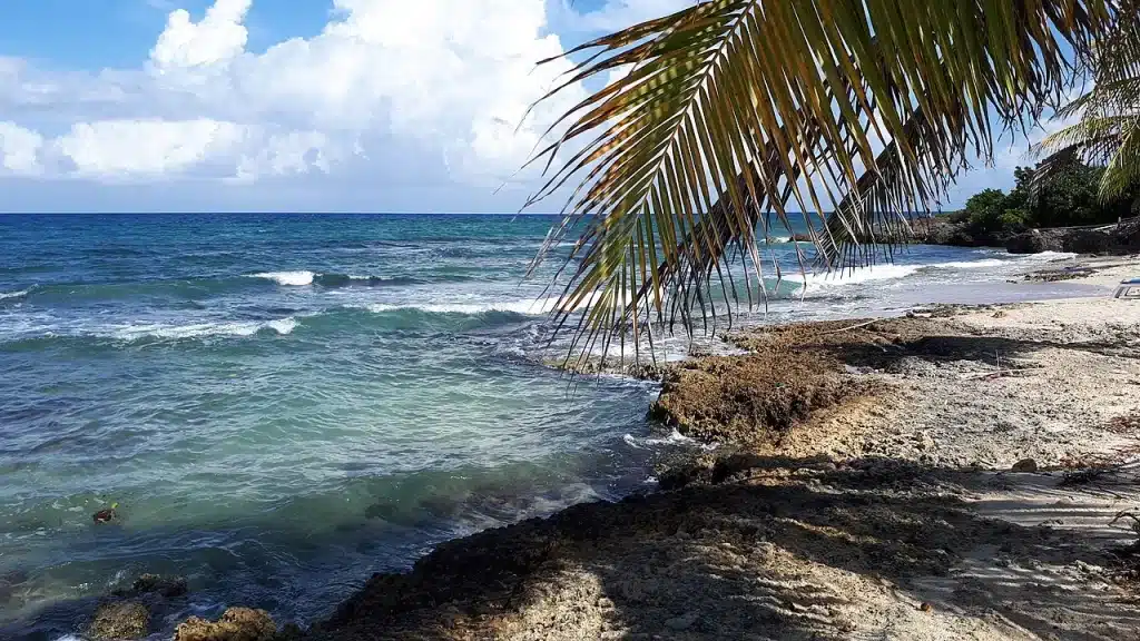 Montego Bay in Jamaica is served by four cities in Frontier Airlines flight network