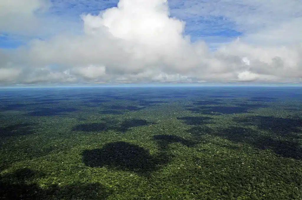 South America - Amazon Rainforest