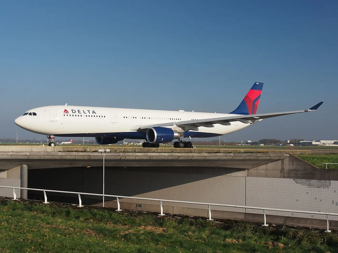 Delta Air Lines most commonly uses the Airbus A330 for flights to Rome.